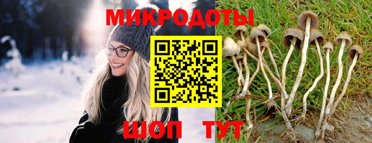 Ангарск  Псилоцибиновые грибы GOLDEN TEACHER  магазин    Вход с VPN 
